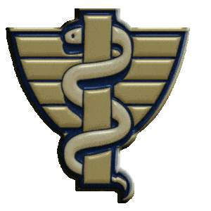 Harley Street Consulting Clinics Logo